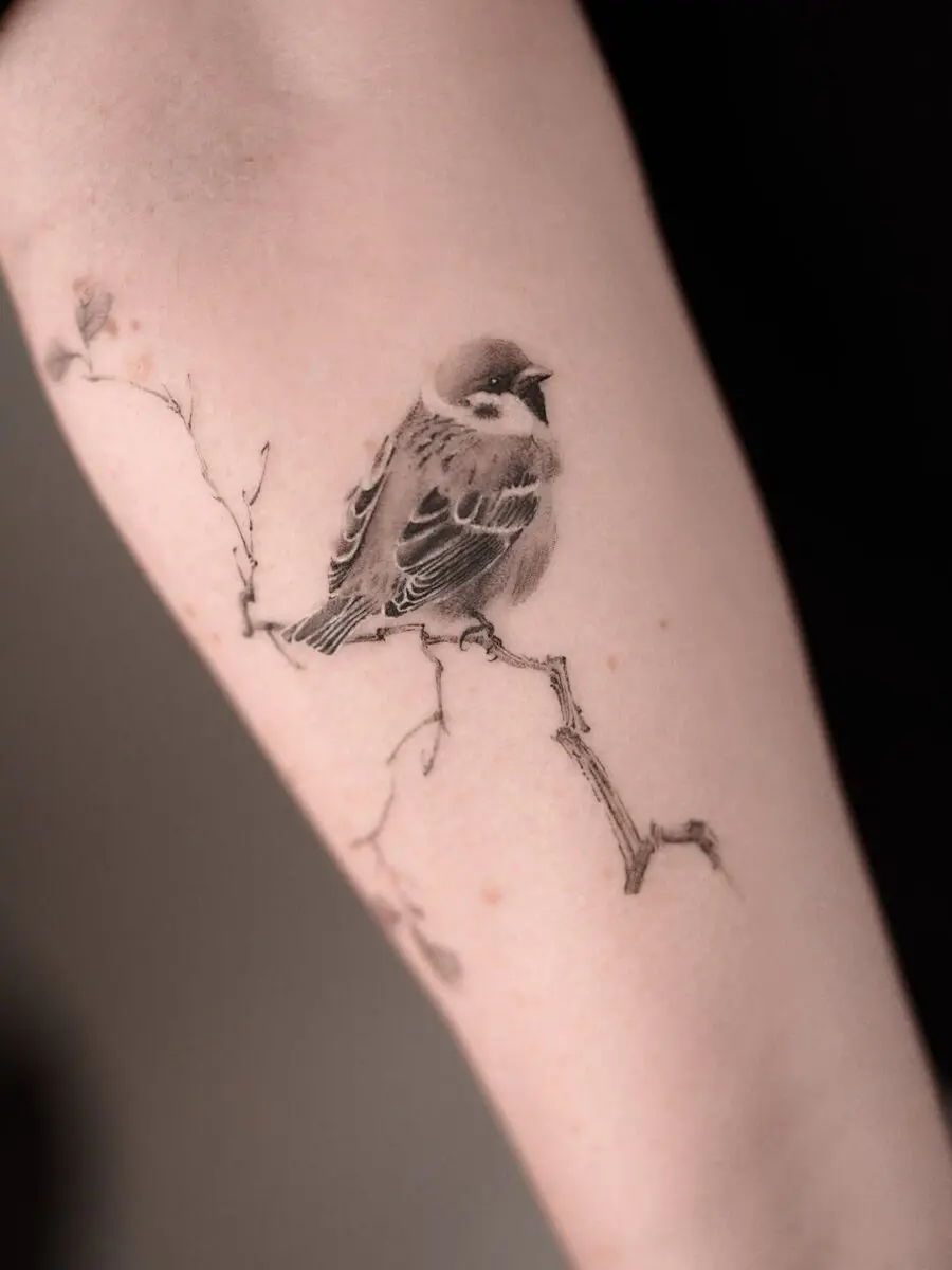 Elegant sparrow perched on a delicate branch.
