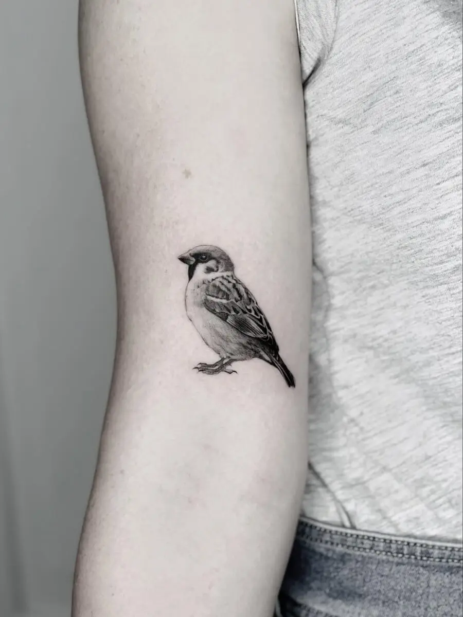 Elegant sparrow tattoo on the arm