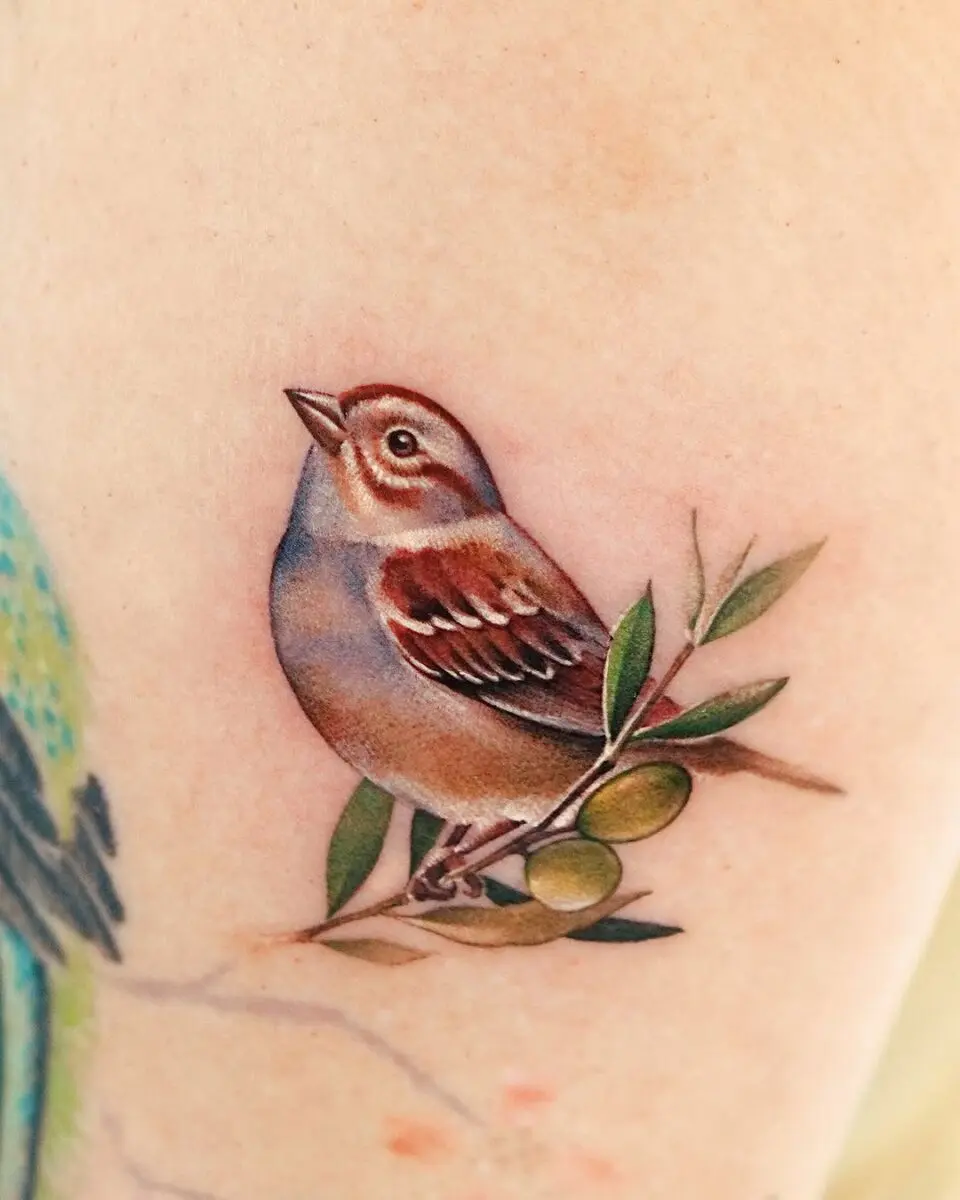 Exquisite Sparrow Tattoo with Olive Branch