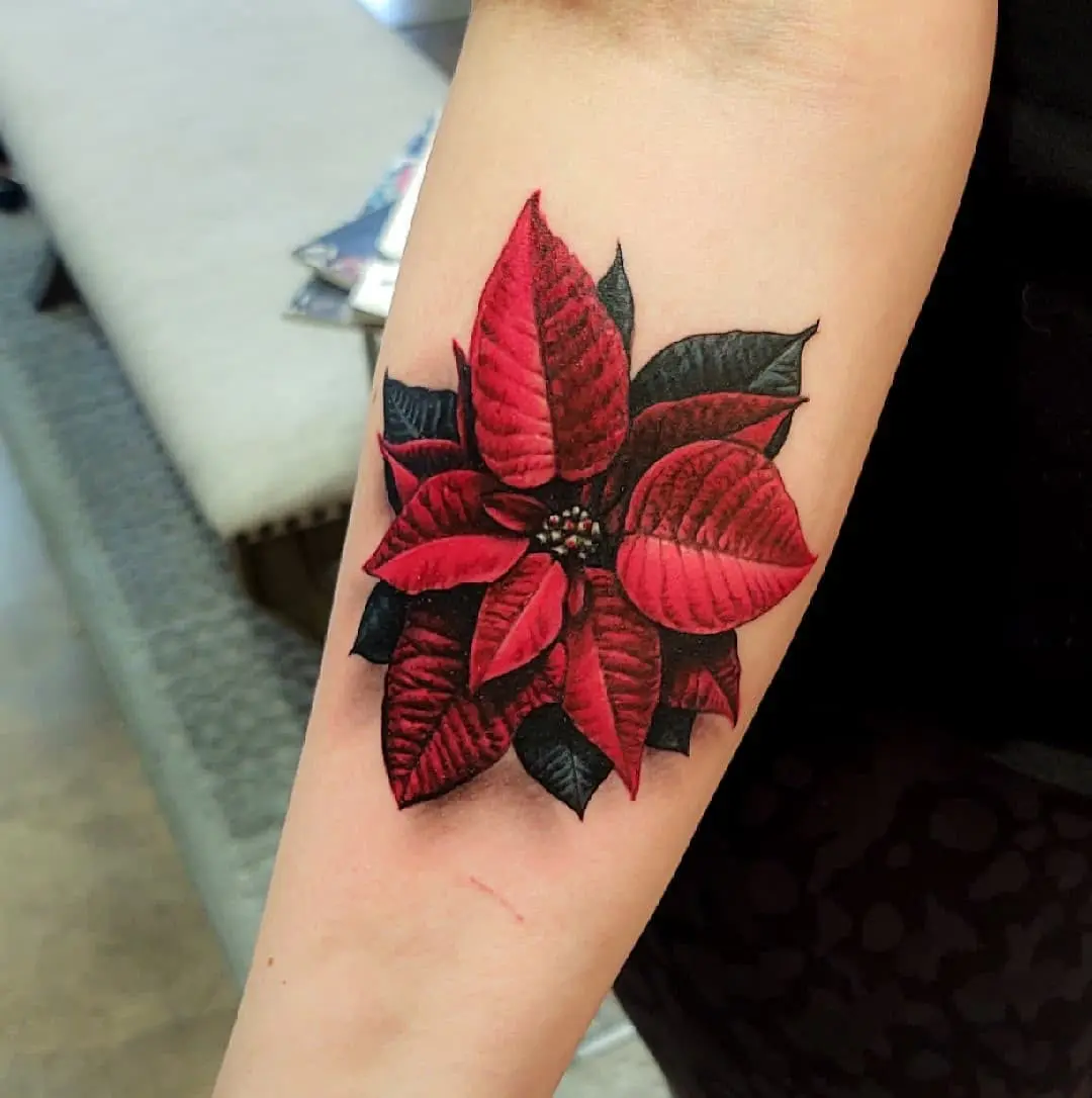 Beautiful and bold poinsettia tattoo design