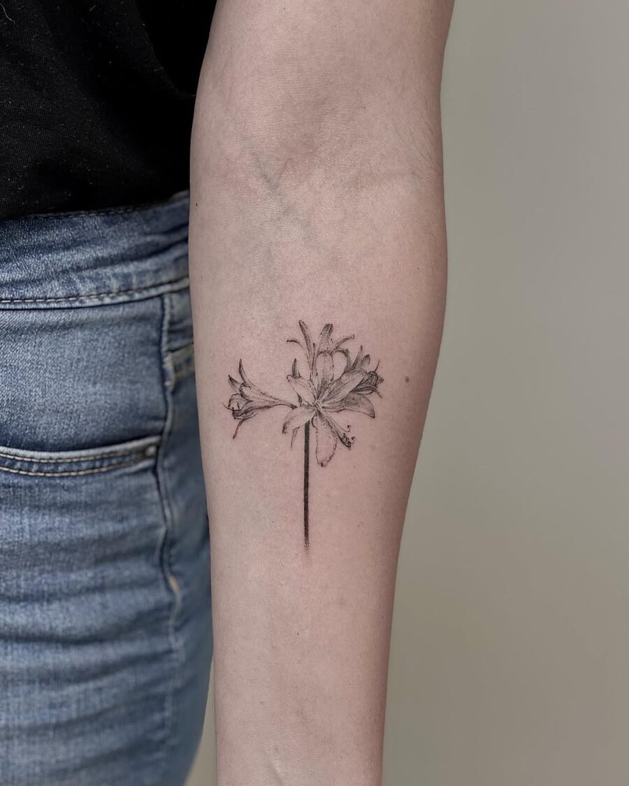Elegant black ink amaryllis tattoo design