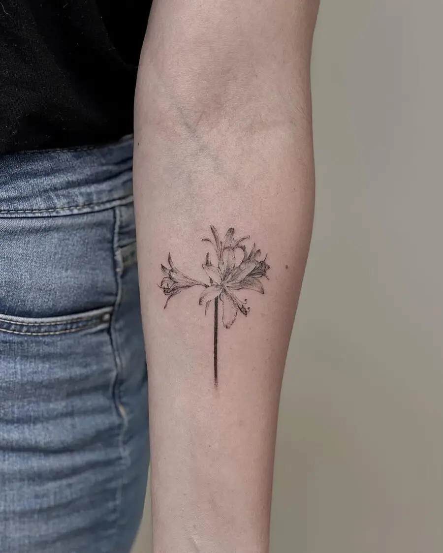 Elegant black ink amaryllis tattoo design