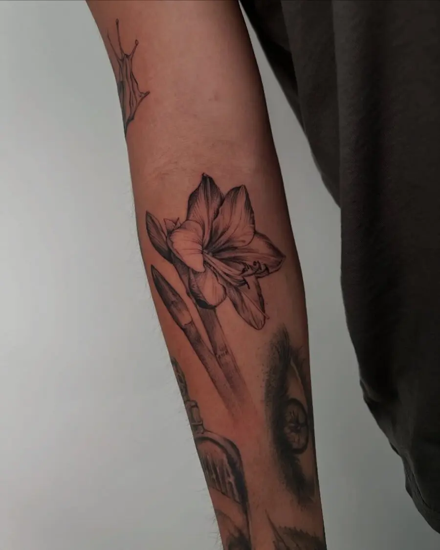 Elegant amaryllis tattoo enhancing the forearm.
