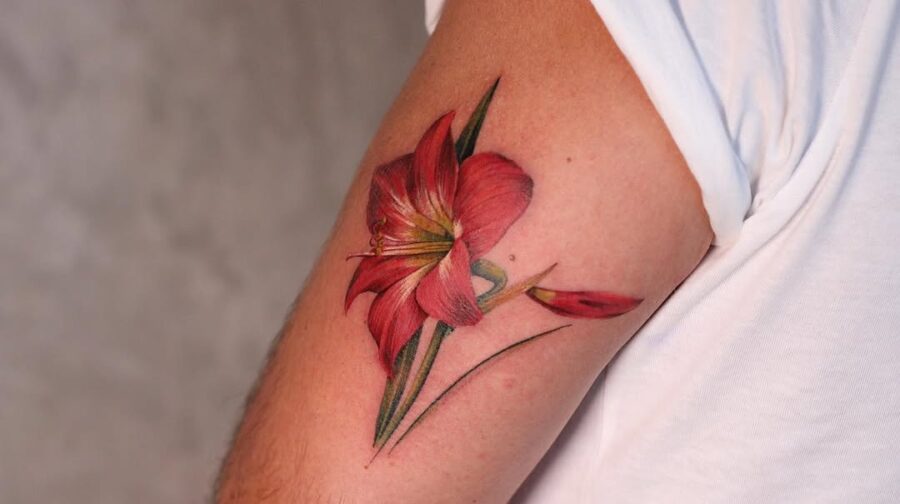 Vibrant amaryllis flower tattoo on arm