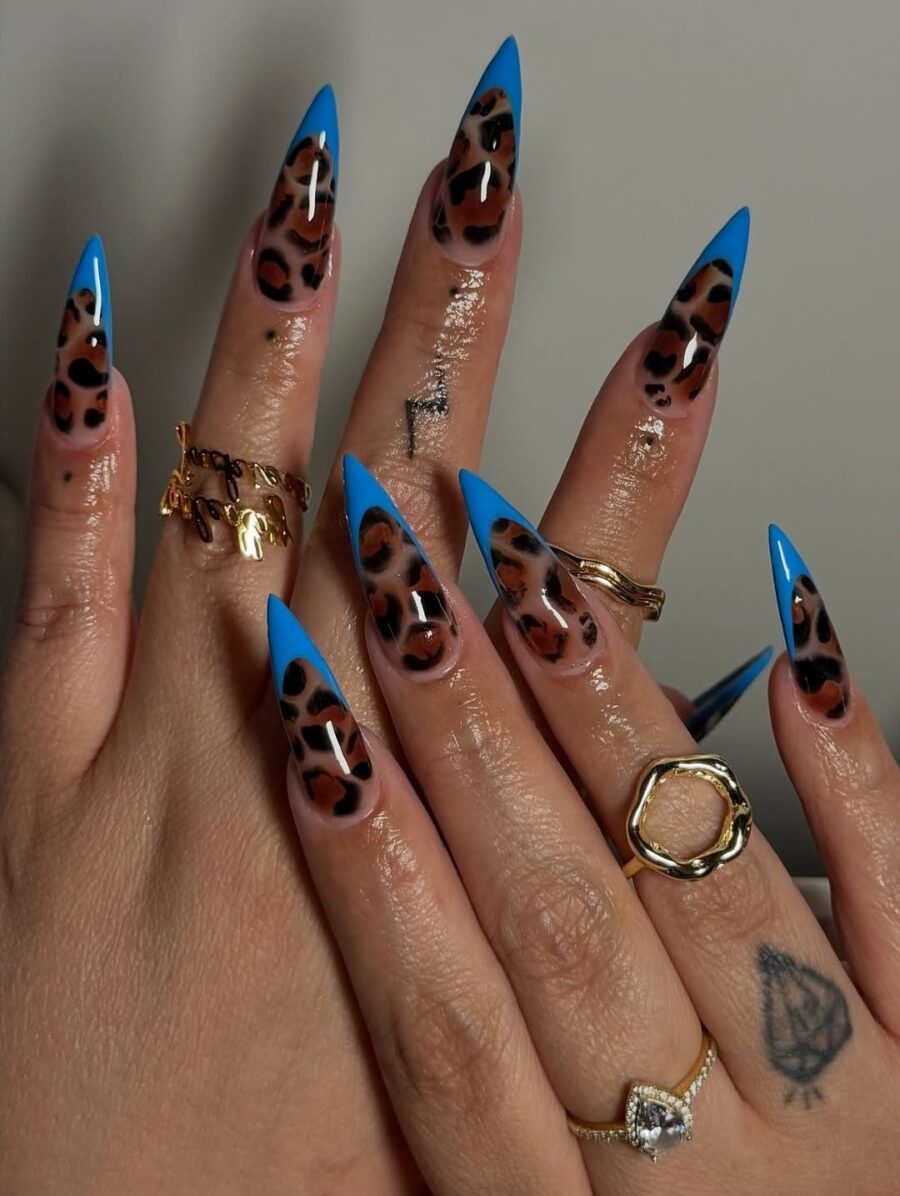 Bold blue and fierce leopard print accents