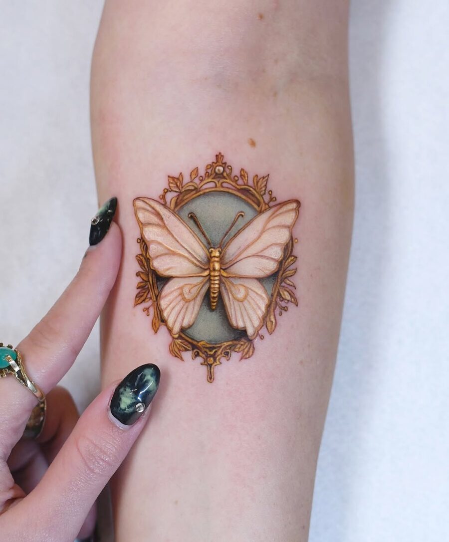 Delicate butterfly in vintage decorative frame