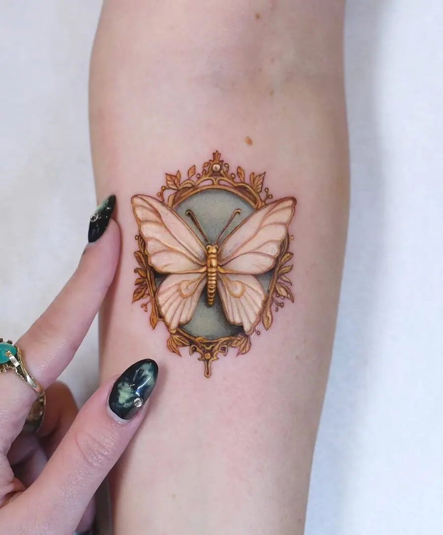 Delicate butterfly in vintage decorative frame