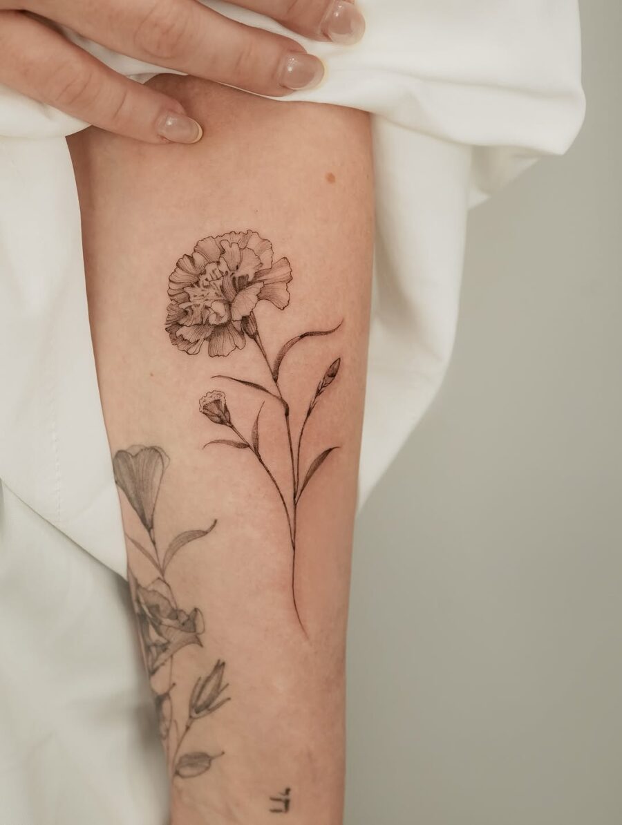 Elegant fine line carnation tattoo on the arm