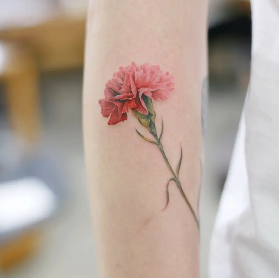 Stunning realistic carnation tattoo on the arm