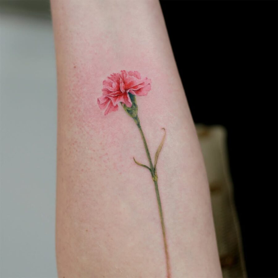 Elegant carnation tattoo in soft pink hues
