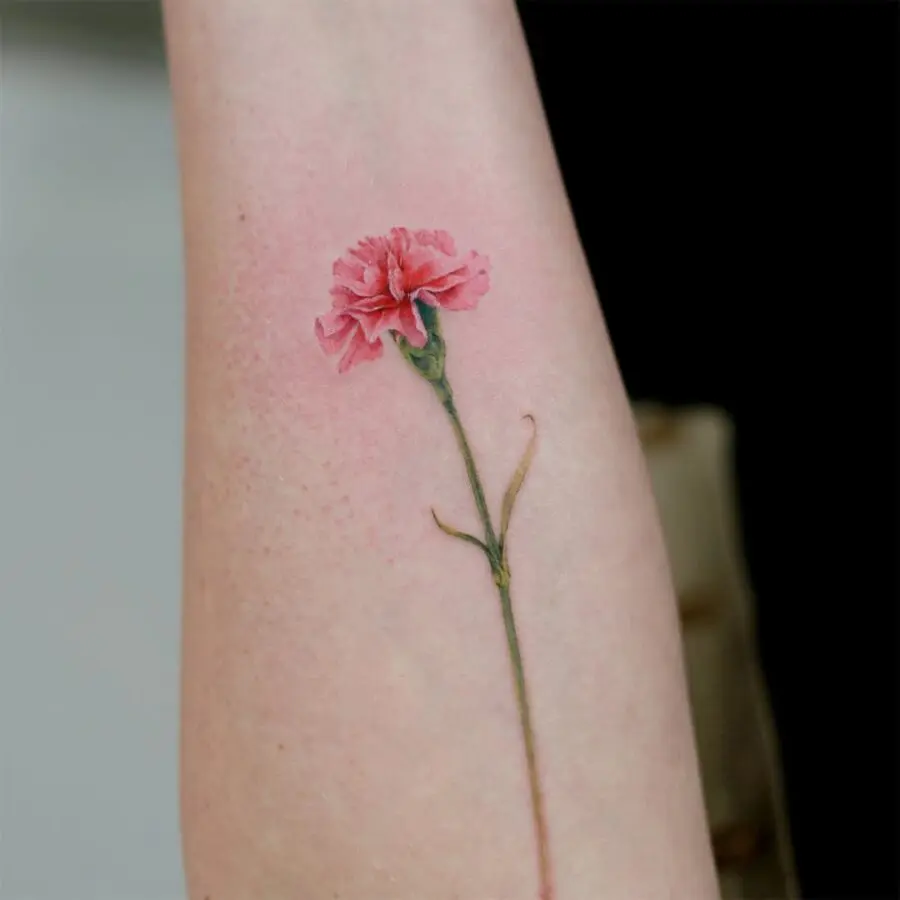 Elegant carnation tattoo in soft pink hues