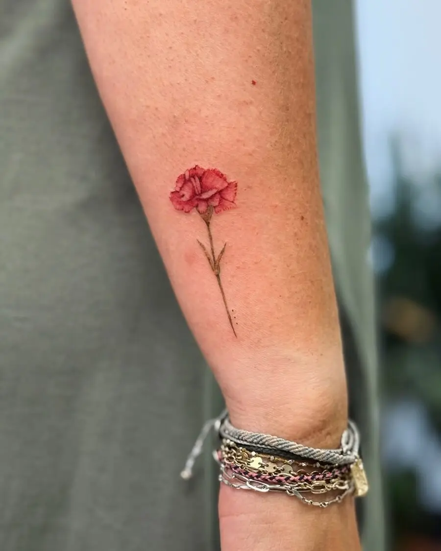 Elegant carnation tattoo on the arm
