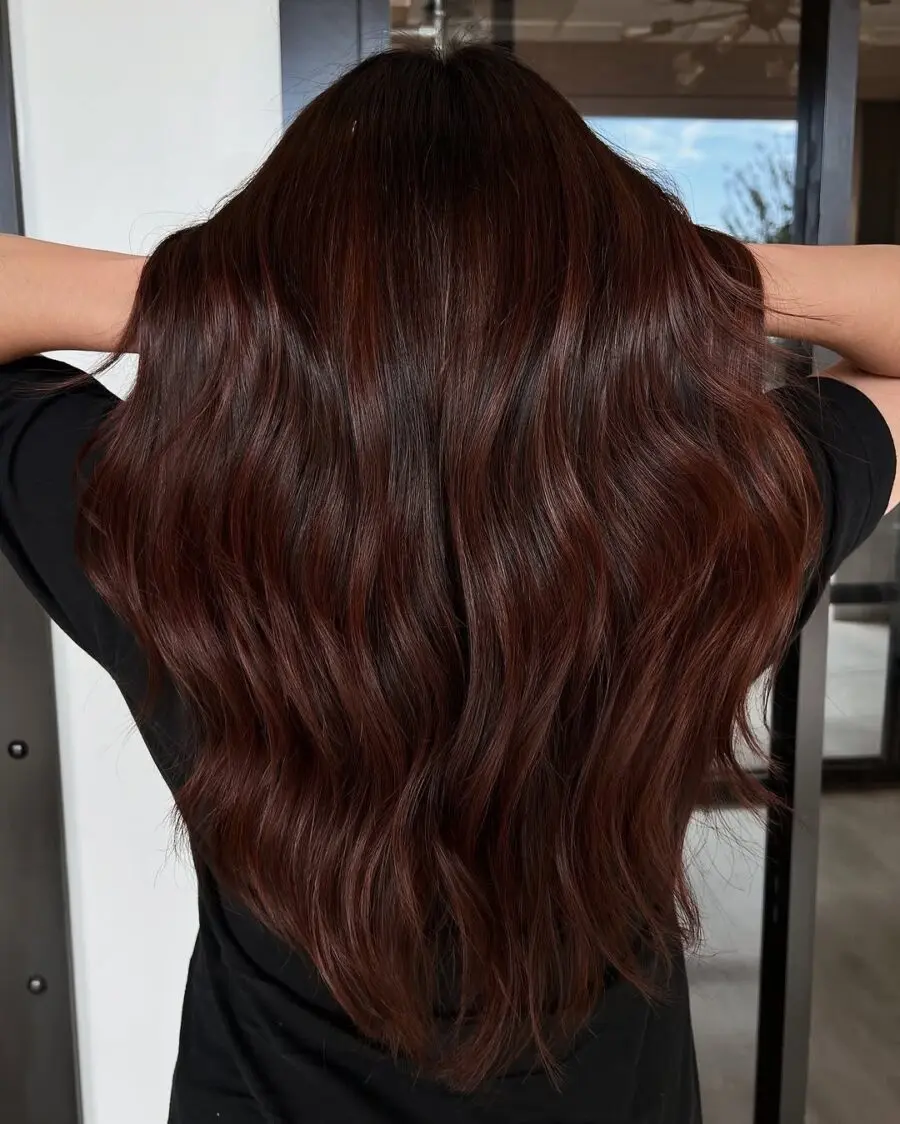 Luxurious Waves in Rich Chocolate Cherry Tones