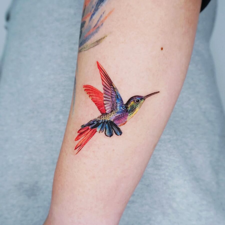 Vibrant hummingbird tattoo on forearm