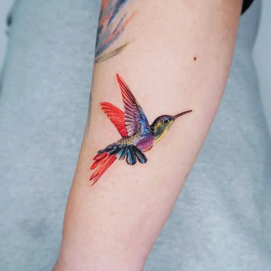 Vibrant hummingbird tattoo on forearm