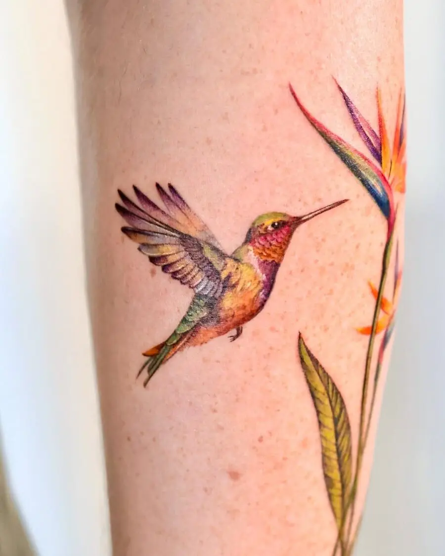 Stunning colorful hummingbird with floral accents
