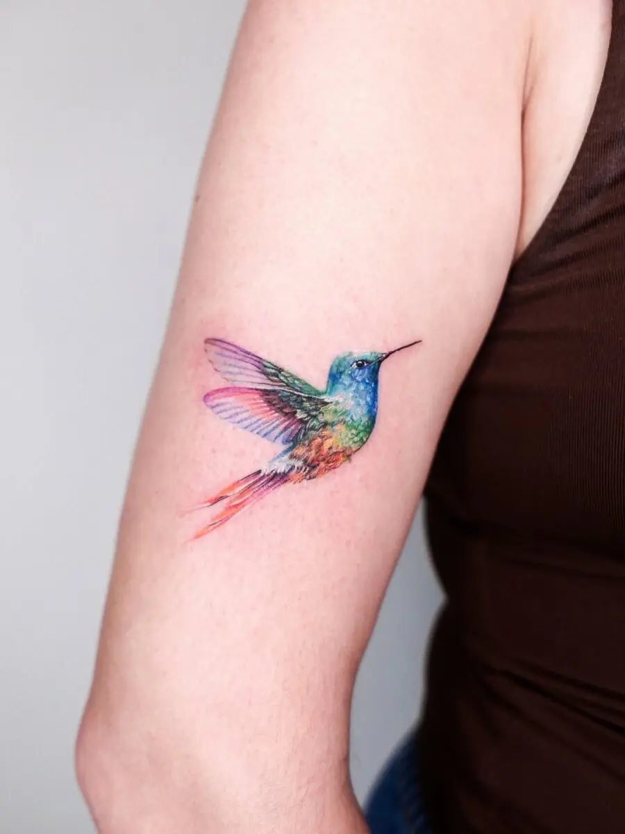 Colorful hummingbird tattoo design on arm