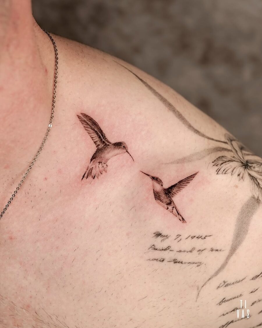 Elegant hummingbirds in graceful flight