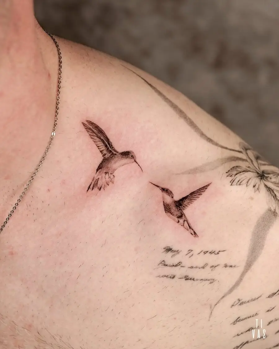 Elegant hummingbirds in graceful flight