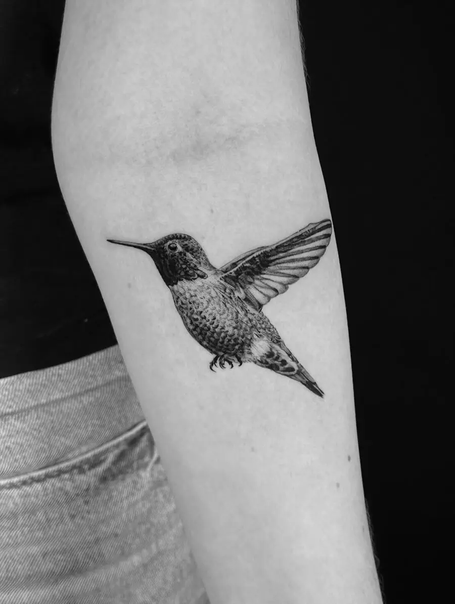 Intricate black and gray hummingbird tattoo design
