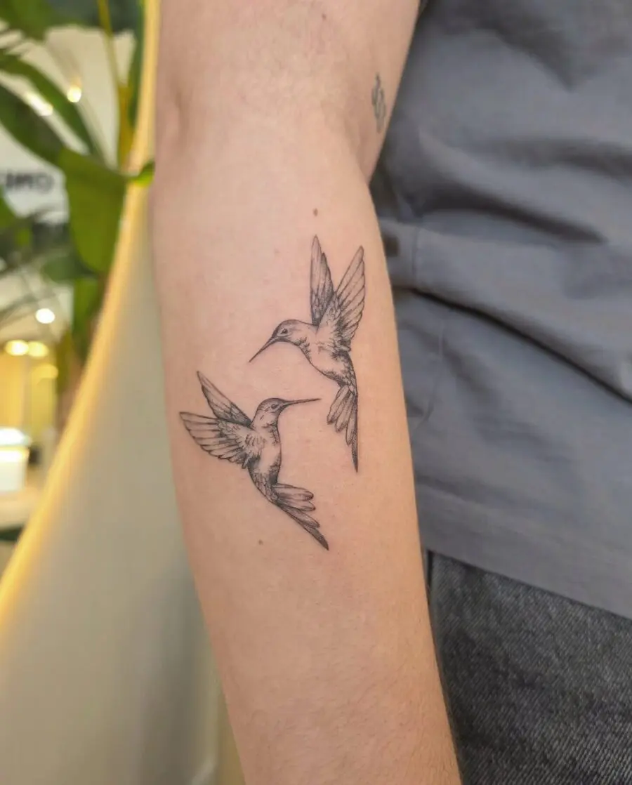 Elegant hummingbirds in graceful flight.