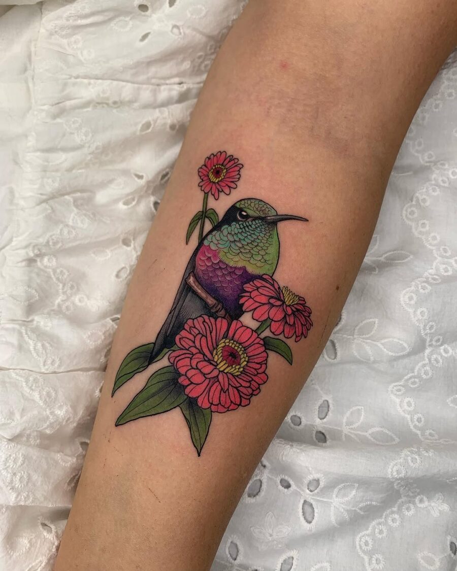 Vibrant hummingbird among beautiful zinnia flowers