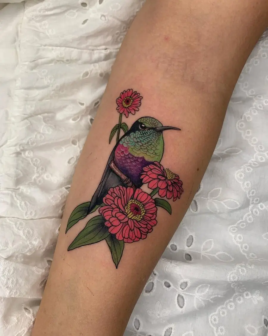 Vibrant hummingbird among beautiful zinnia flowers