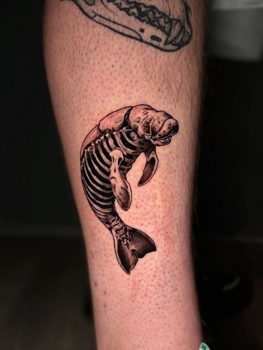 Artistic manatee tattoo with skeletal design