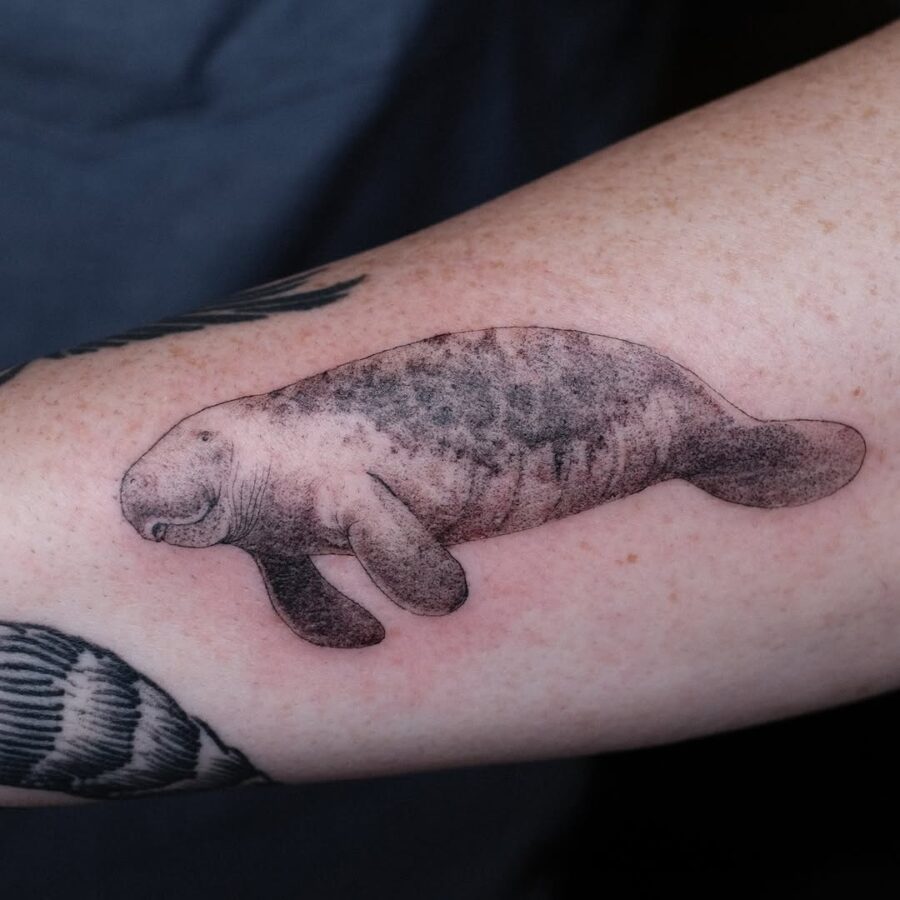 Elegant manatee tattoo in black and gray