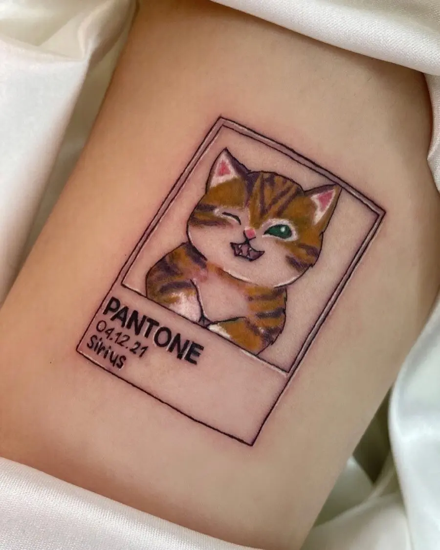 Whimsical Pantone Cat Tattoo Design