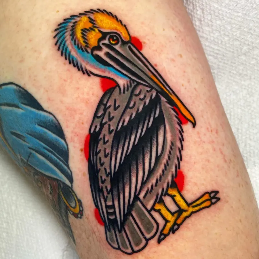 Vibrant Pelican Tattoo with Americana Flair
