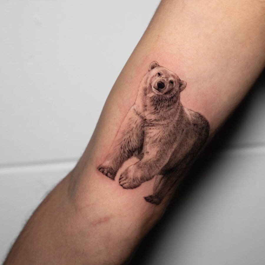 Striking realistic polar bear tattoo on arm