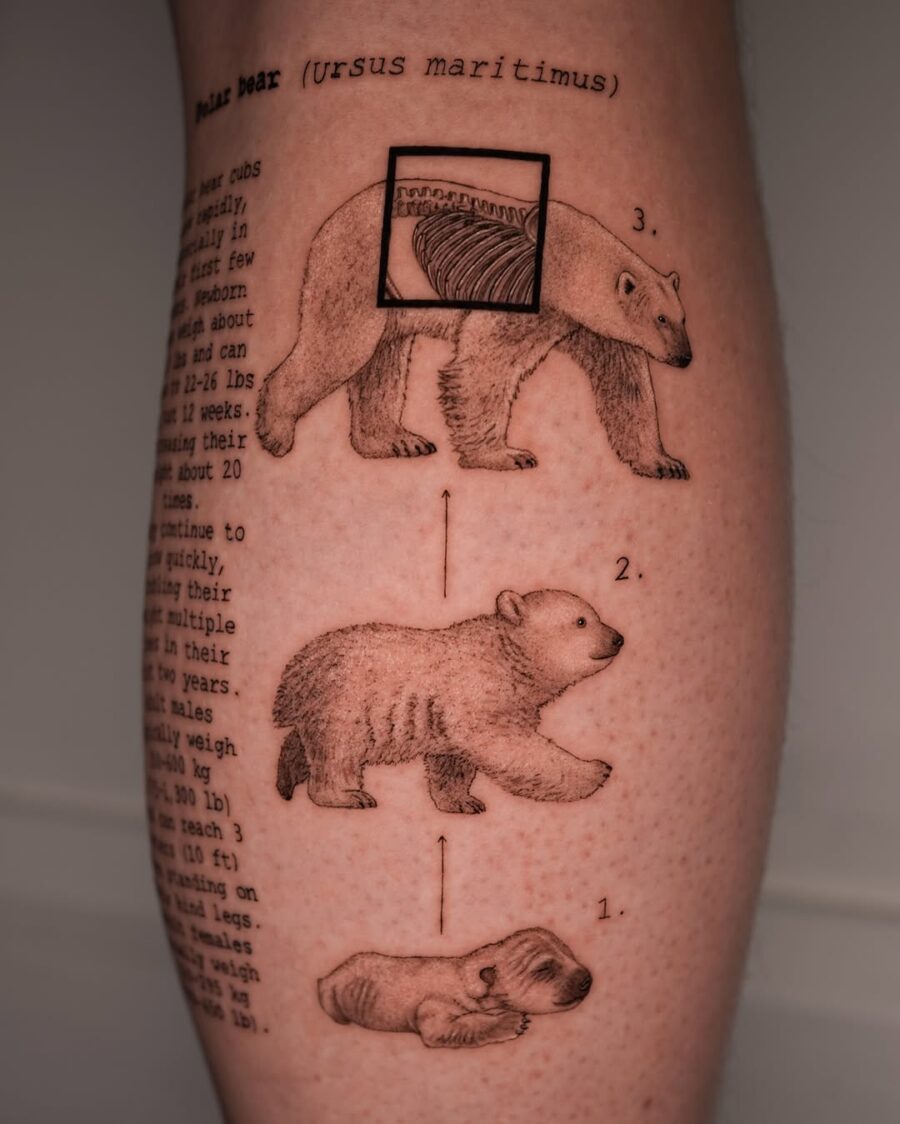 Intricate polar bear tattoo with fun facts