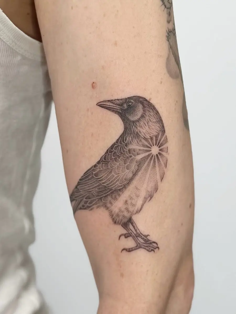 Intricate raven tattoo on forearm