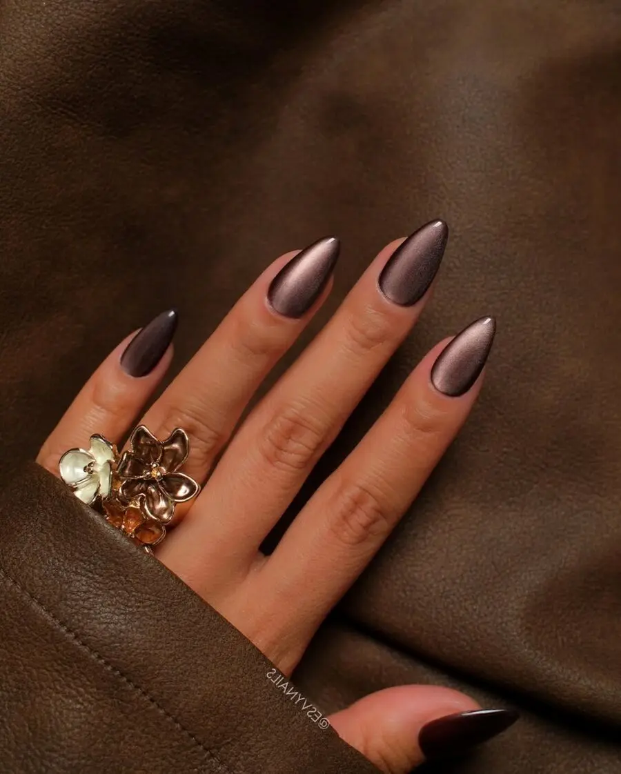 Elegant Velvet Nails with Sleek Finish