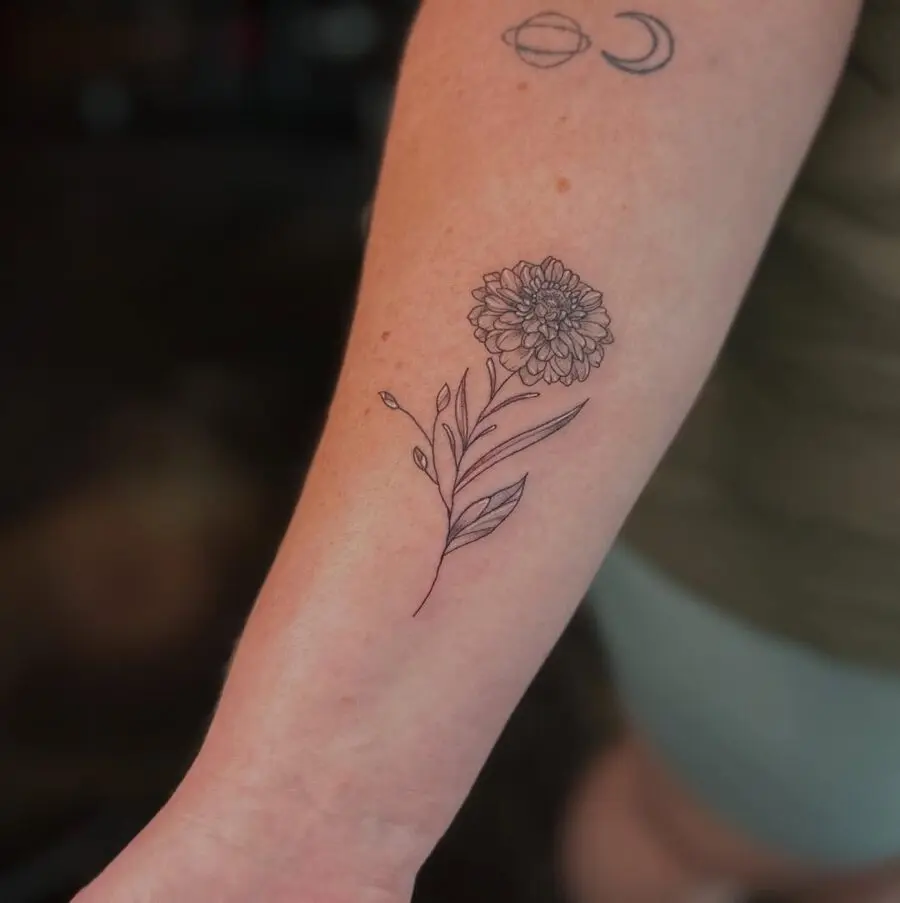 Elegant zinnia tattoo in line art style