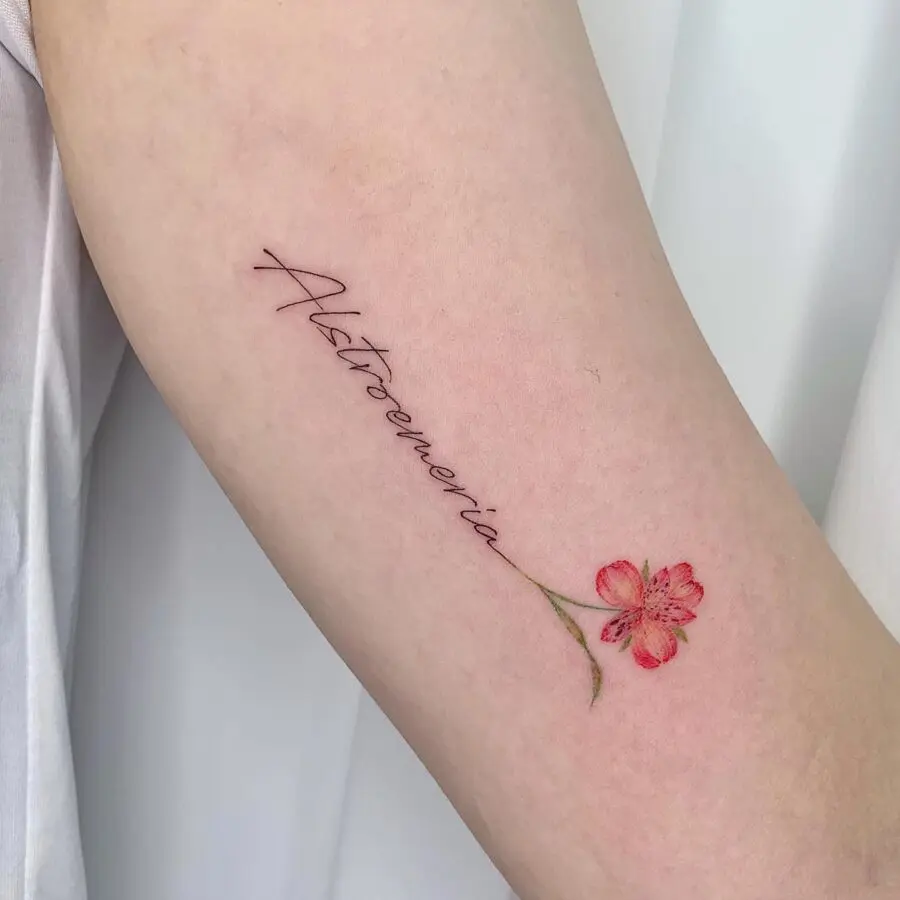 Elegant alstroemeria tattoo with flowing script