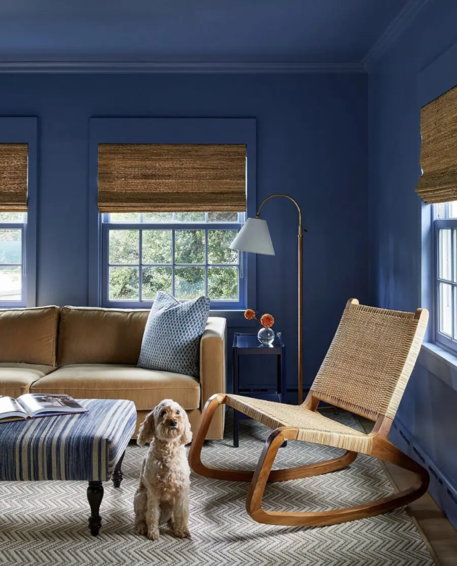 Stylish Blue Living Room Featuring Cozy Elements