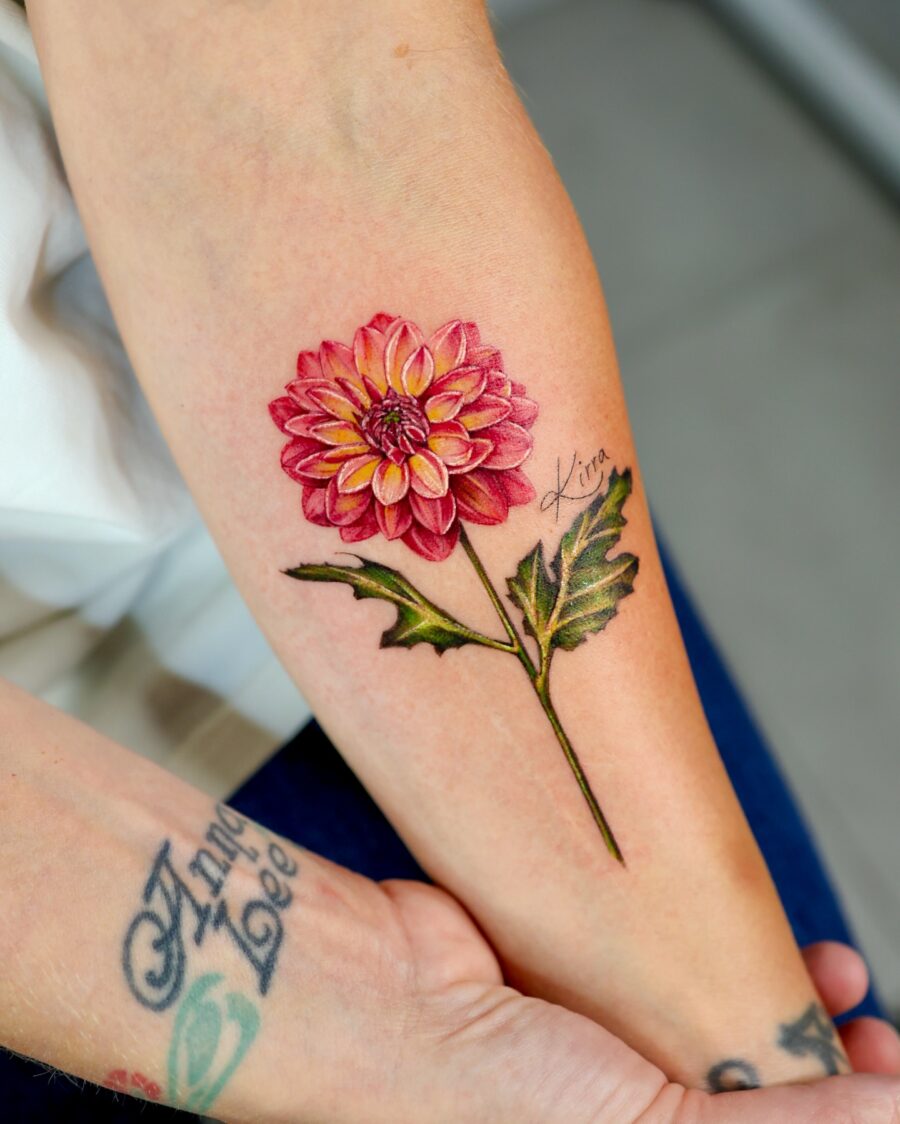 Stunning pink dahlia tattoo on the arm