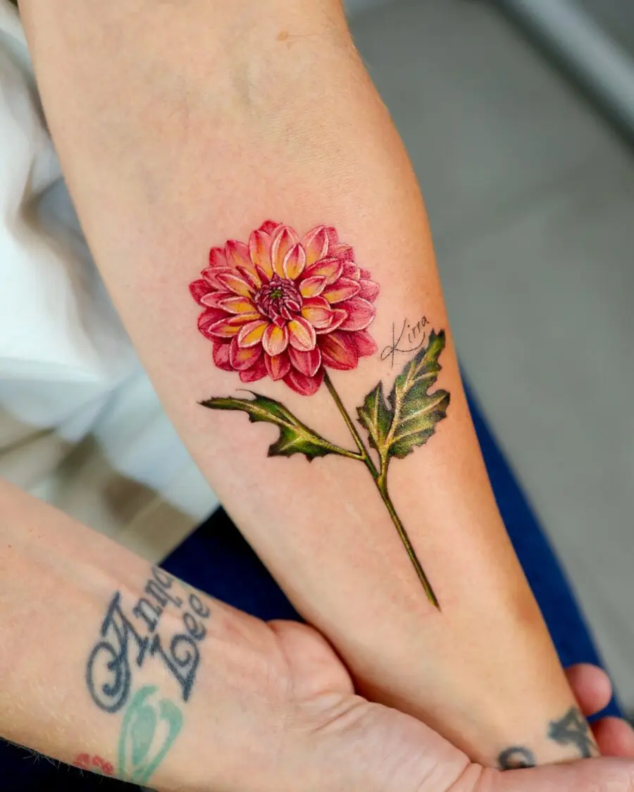 Stunning pink dahlia tattoo on the arm
