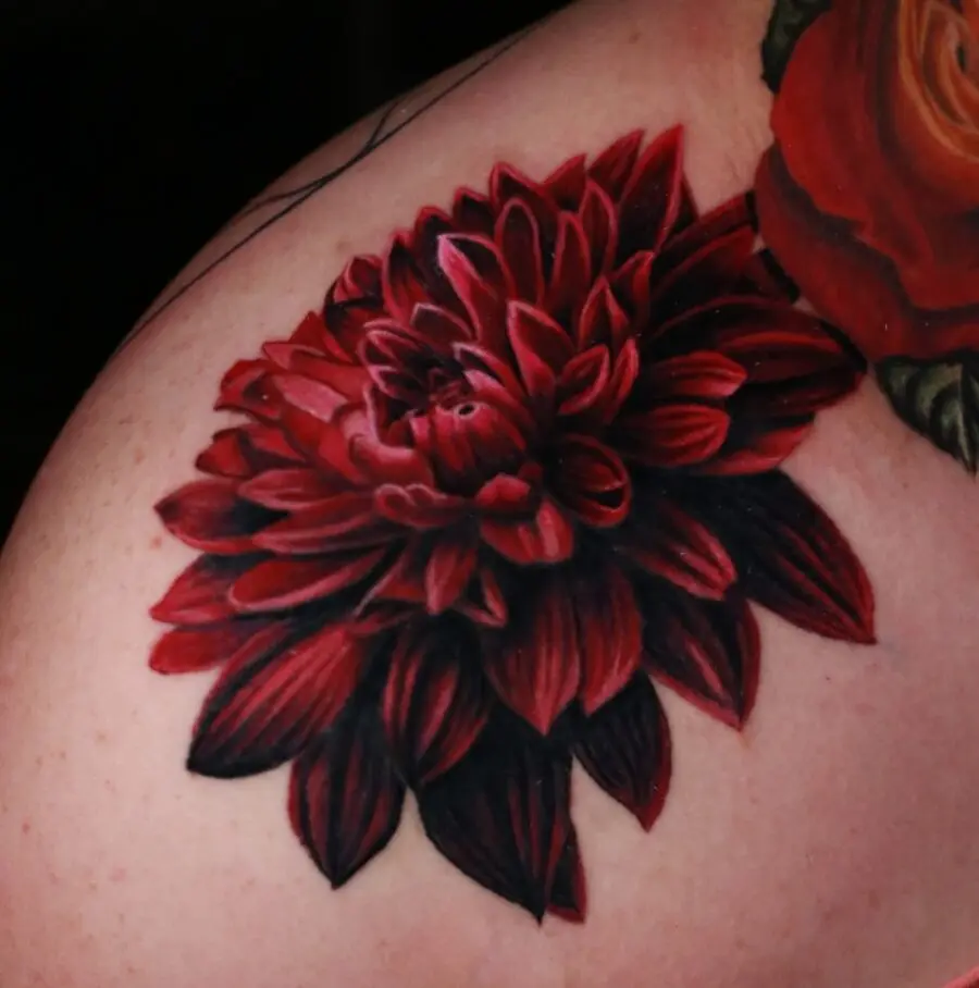 Vibrant red dahlia tattoo on shoulder
