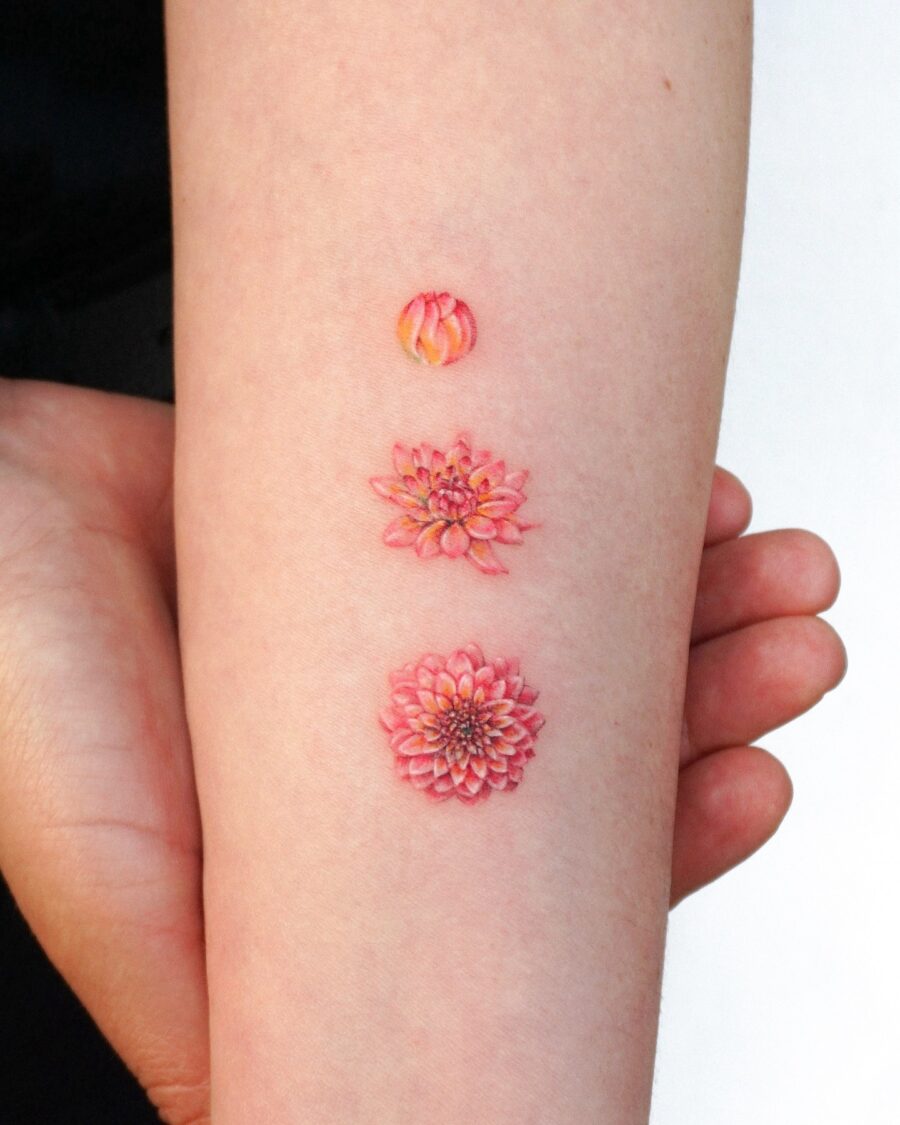 Stunning vibrant dahlia tattoos on a forearm