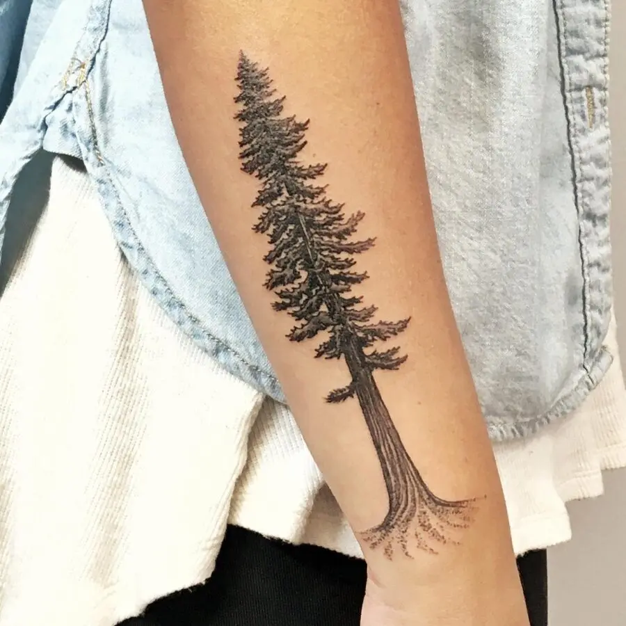 Nature-Inspired Redwood Tree Tattoo on Forearm