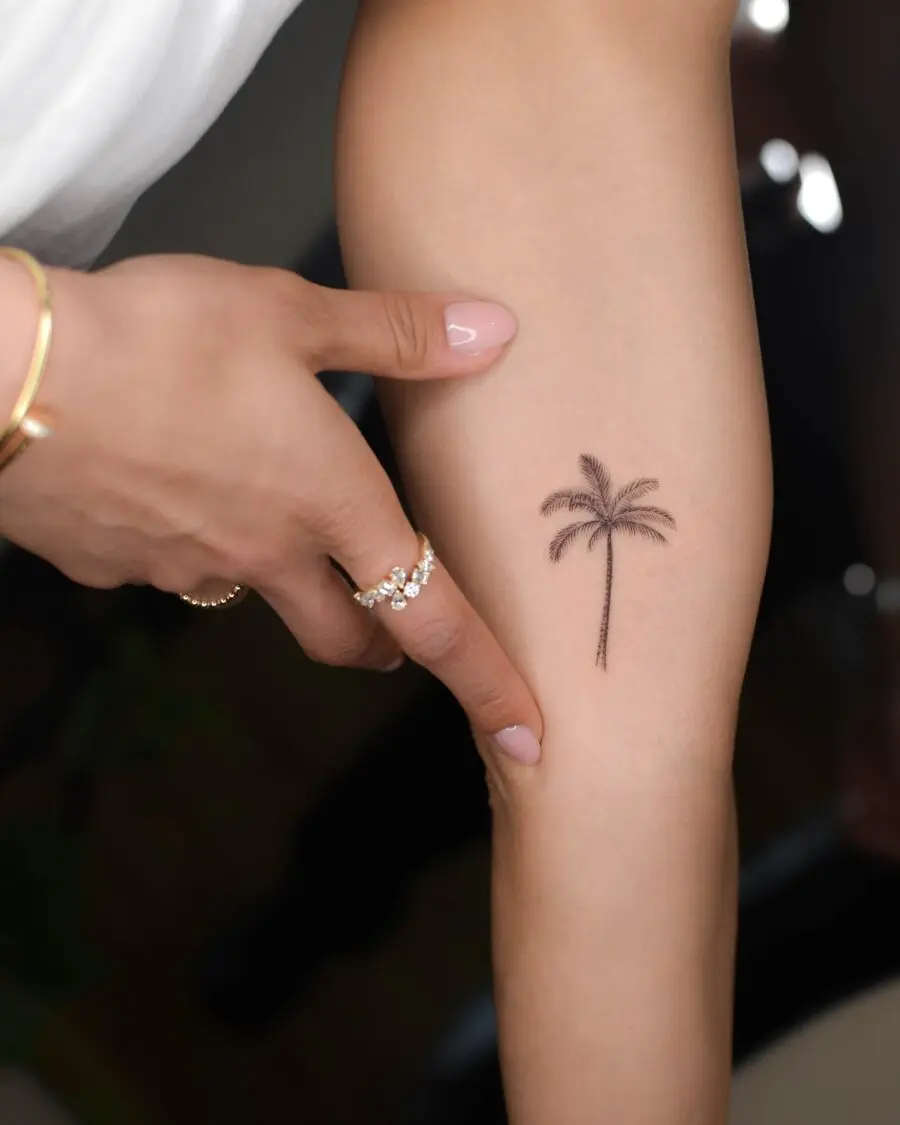 Delicate palm tree tattoo on feminine arm