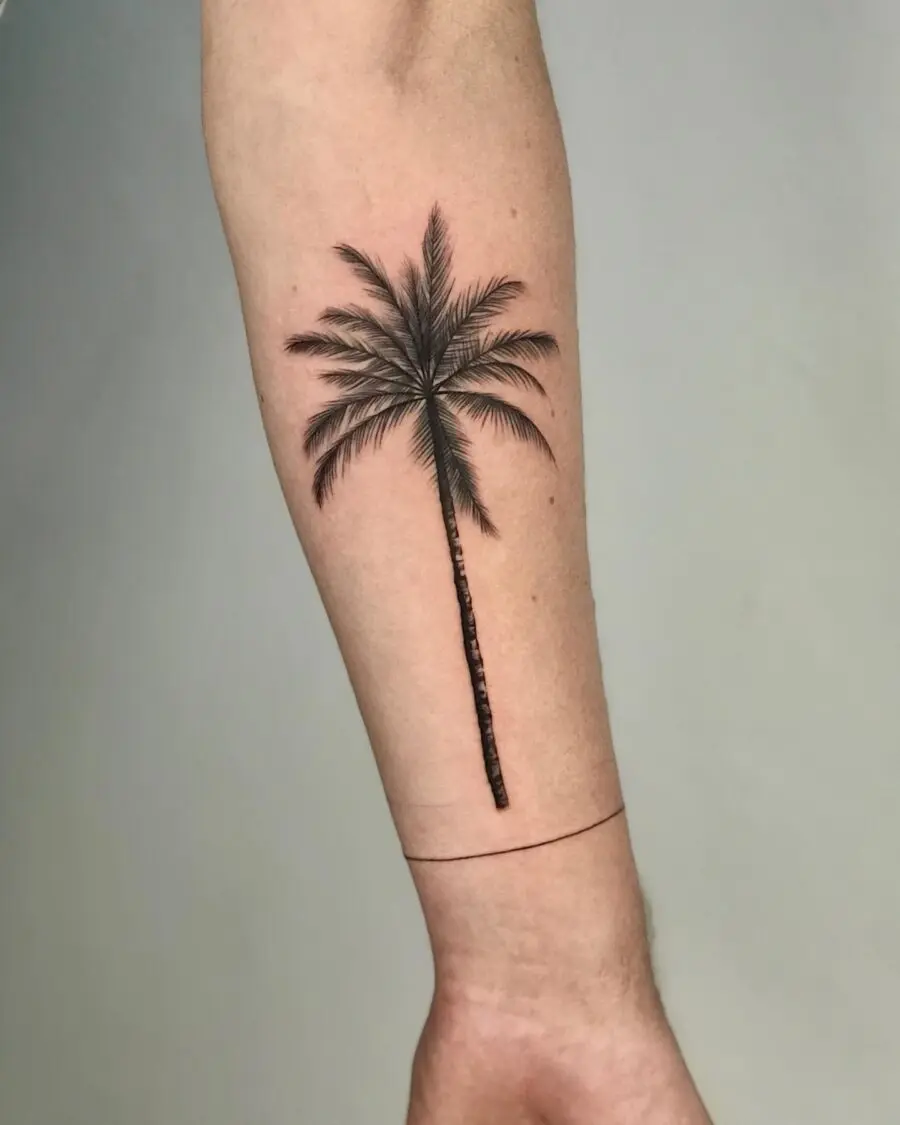 Elegant palm tree tattoo on a forearm