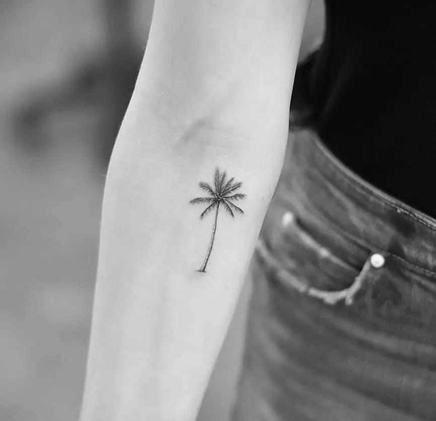 Elegant minimalist palm tree tattoo on forearm