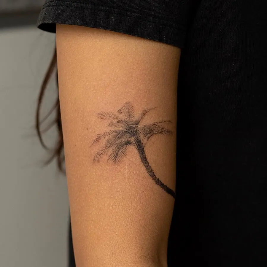 Minimalist palm tree tattoo on arm