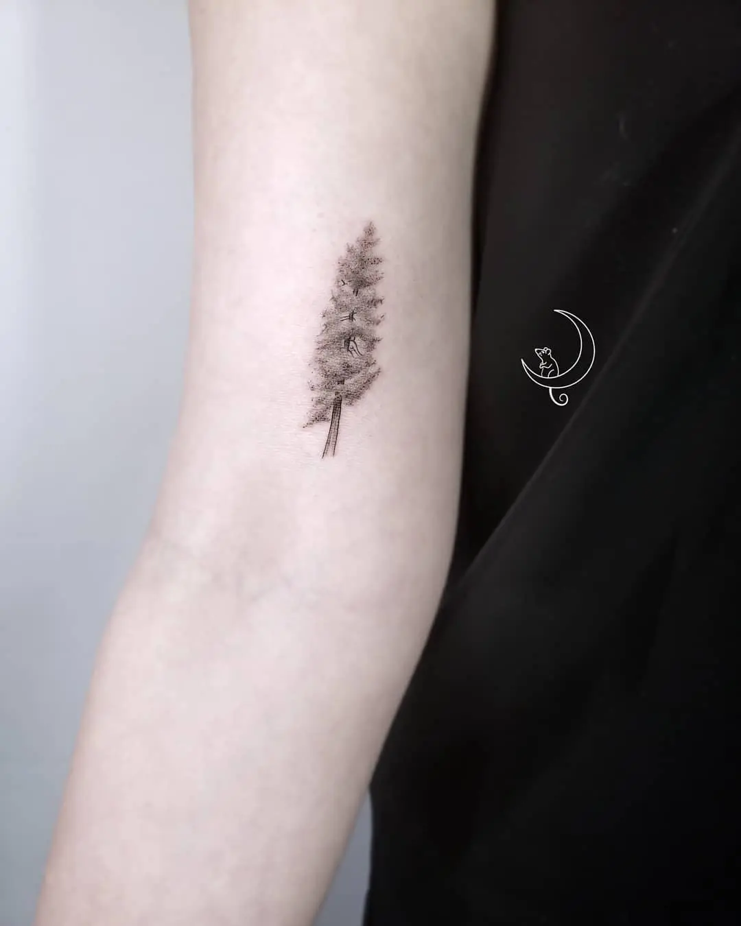 Elegant black ink redwood tree tattoo design