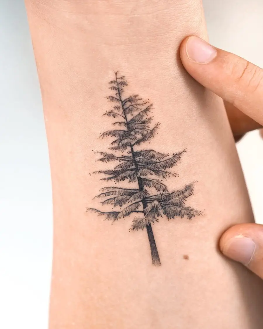 Stunning Realistic Redwood Tree Tattoo Design