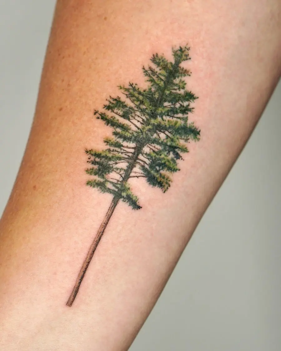Stunning Realistic Redwood Tree Tattoo for Nature Lovers